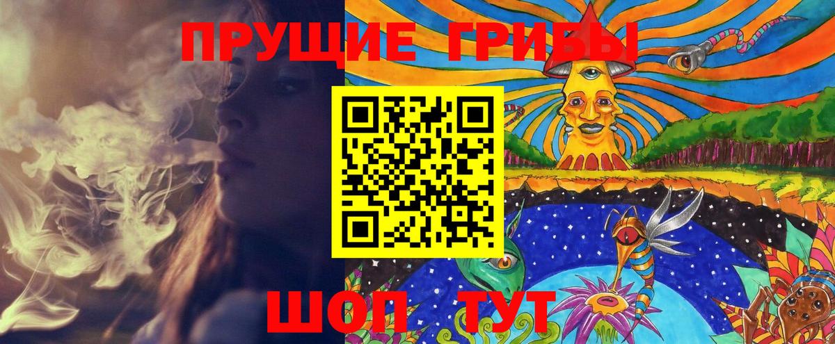 Саянск  Псилоцибиновые грибы Psilocybe  как найти закладки  Вход с VPN 